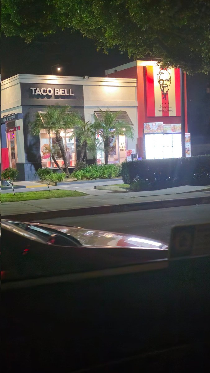 KFP_Sky🐔🐦‍🔥 tweet media