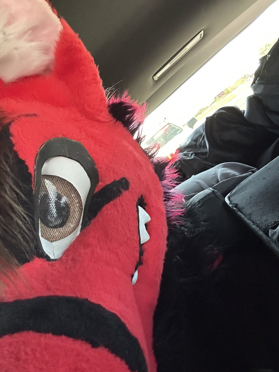 We got pulled over twice let’s go TFF🚔