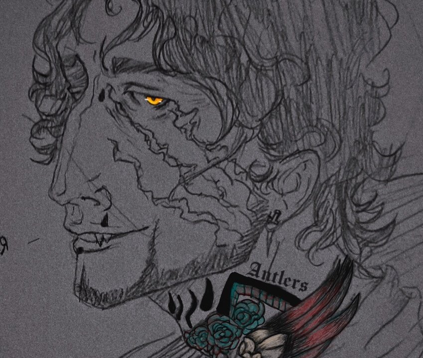 ︎ ︎ ︎ ︎ ︎ ︎ ︎︎ ︎ ❛ ༝ 𝕿𝖍𝖊 ༝ 𝐇𝐔𝑵𝐓𝐄𝐑 .ᐟ ༝ ︎❜ tweet media