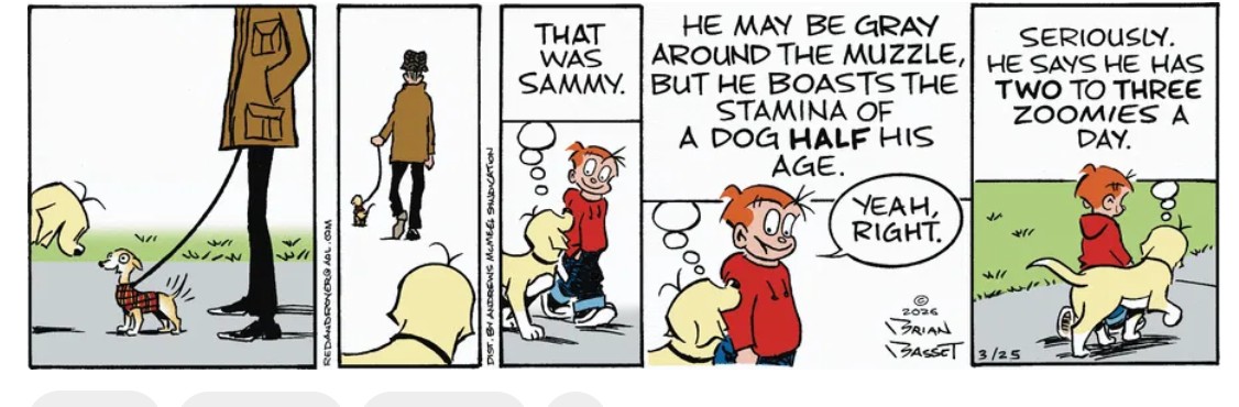 TheConsumerman's tweet photo. Look what was in the newspaper today -- our dog, Sammy, featured in the “Red and Rover” cartoon strip.   Sincere thanks to our dear friend Brian Basset for this wonderful tribute to our very special boy. We will treasure this forever! https://t.co/KWgYz7tDMl https://t.co/Sd9JAukzNA