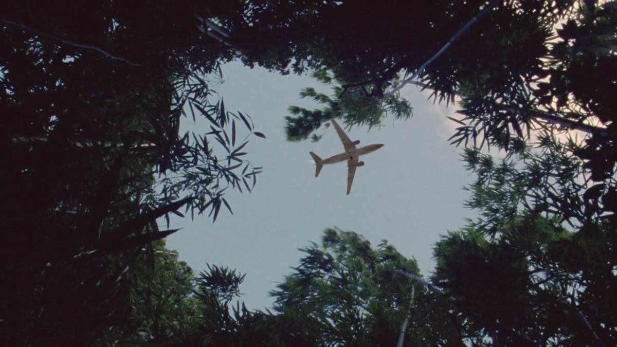 Carter 🦍 tweet media