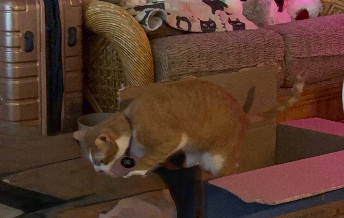 David H. Altman tweet media