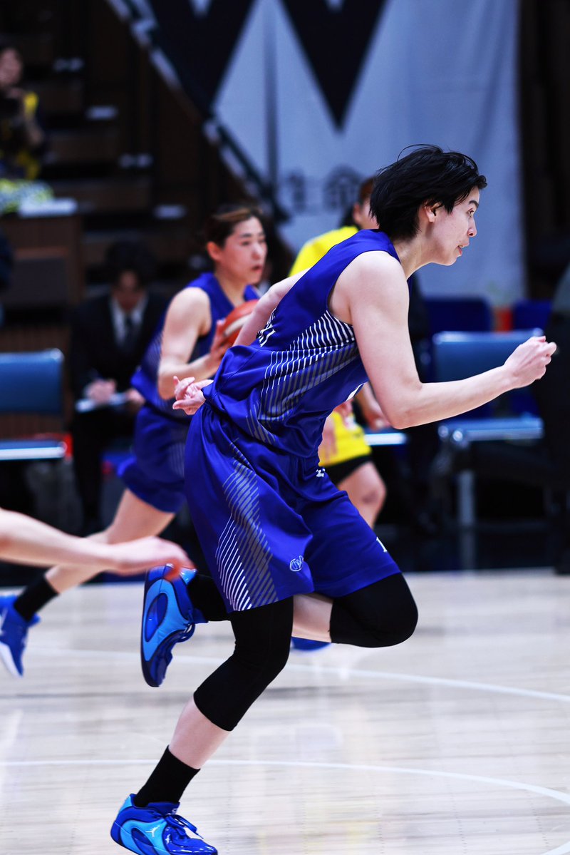 一匹猫 📸 tweet media