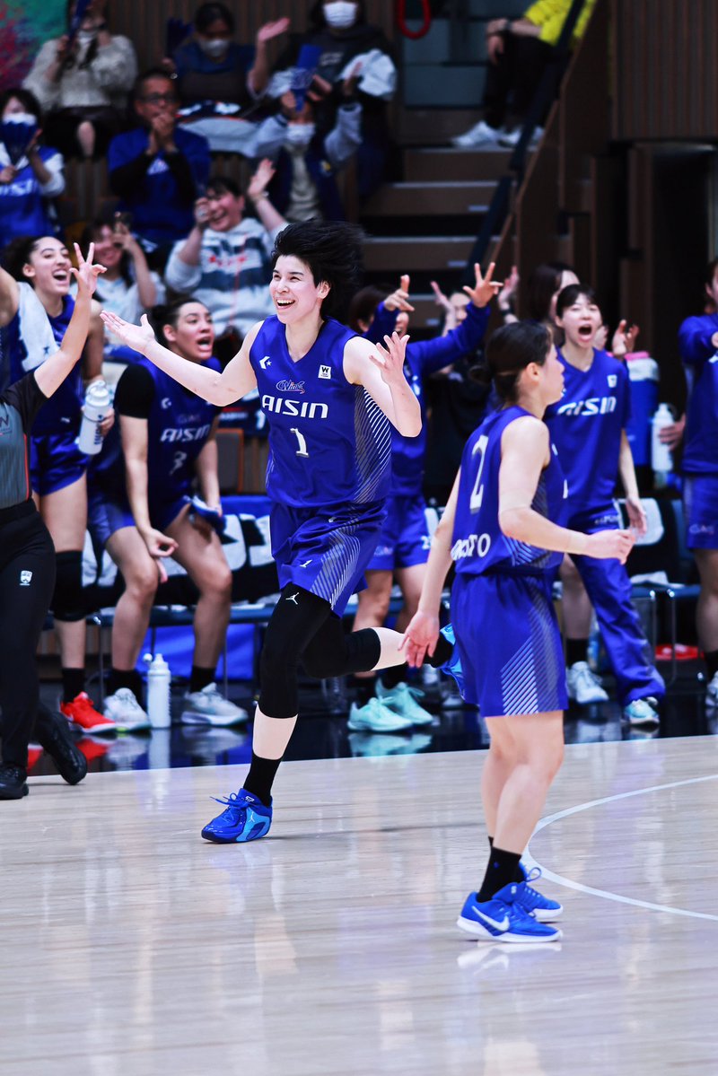 一匹猫 📸 tweet media