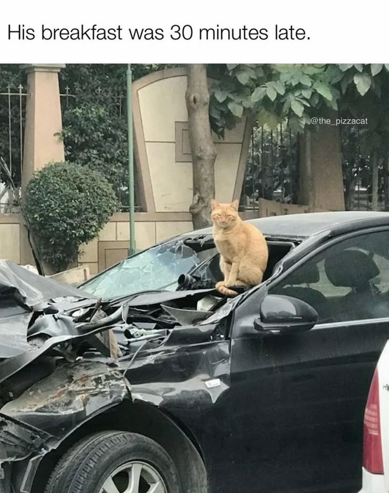 Taxpayer1234 🇺🇸🇮🇱🇺🇸🇮🇱🇺🇸🇮🇱🇺🇸🇮🇱 tweet media