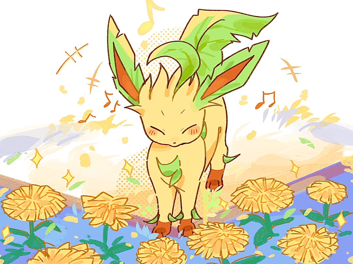 세쾅이 / セクァンイ tweet media