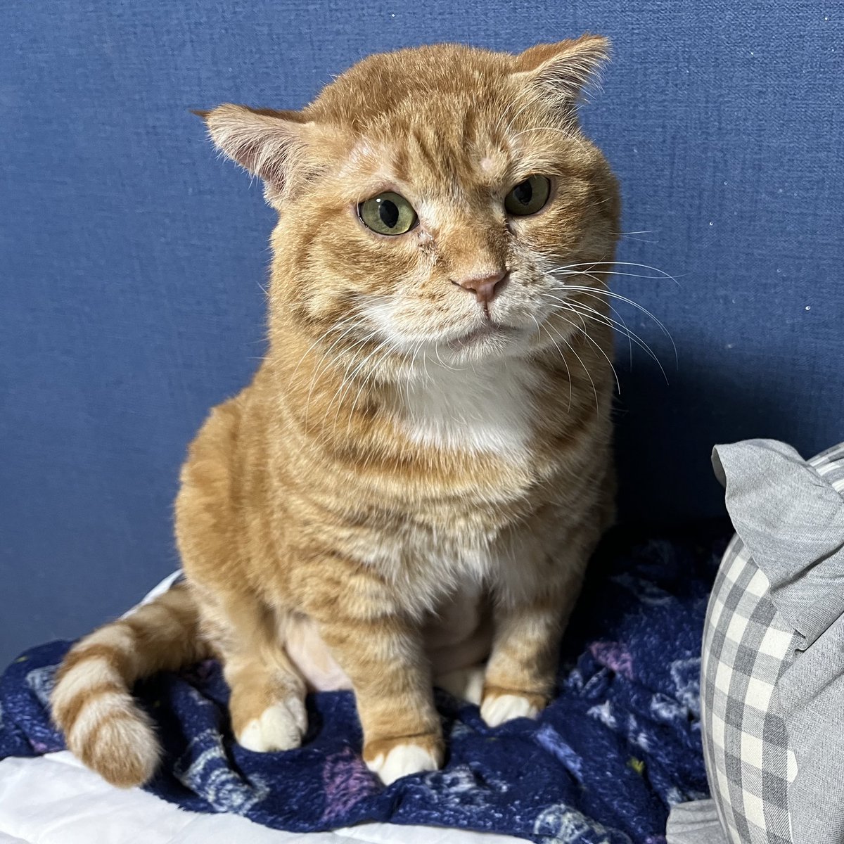 김냄비 tweet media