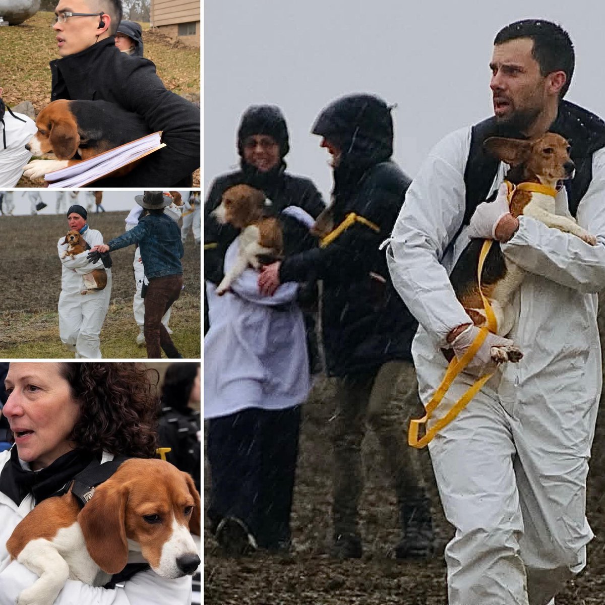 Krasnov Ⓥ tweet media