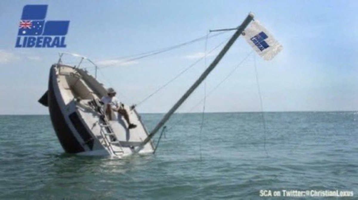 CaraMia200 tweet media