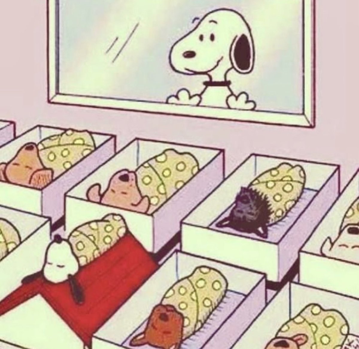 忘れられない動画 tweet media