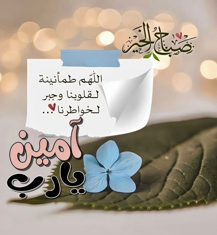 خالد tweet media