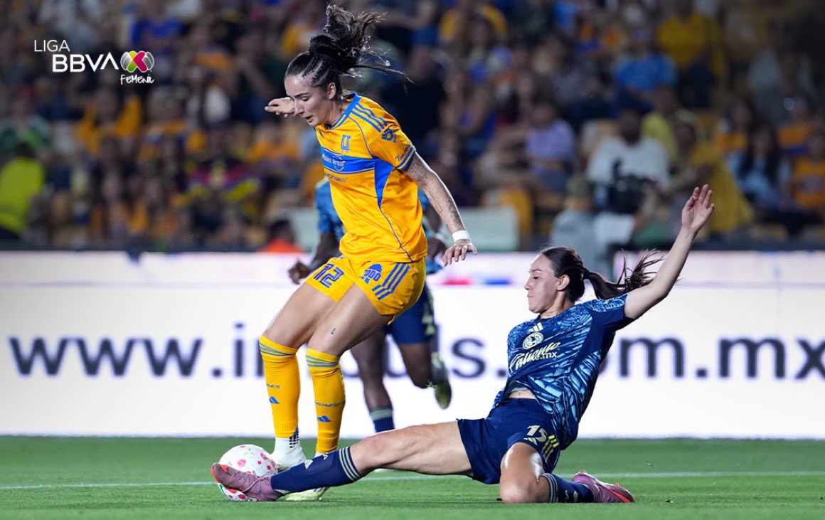 carla🐝 tweet media