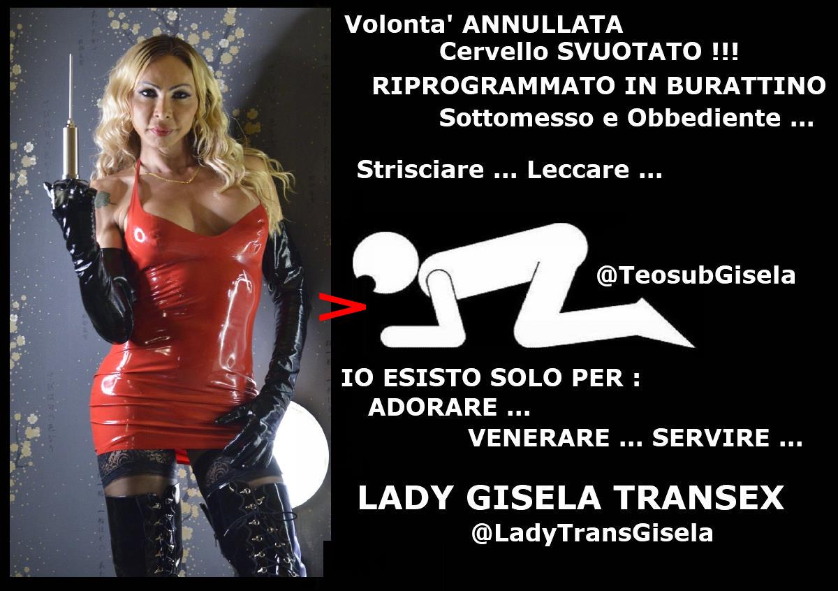 TeoSubGisela tweet media