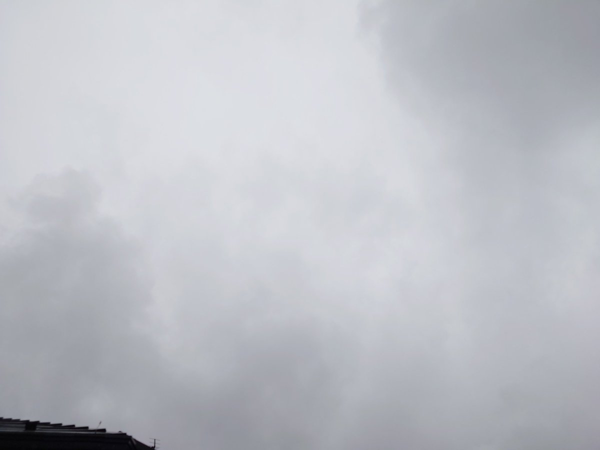 アルとネジ tweet media