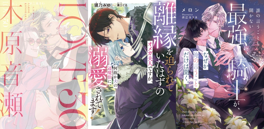 ビーボーイ ノベルズ編集部 tweet media