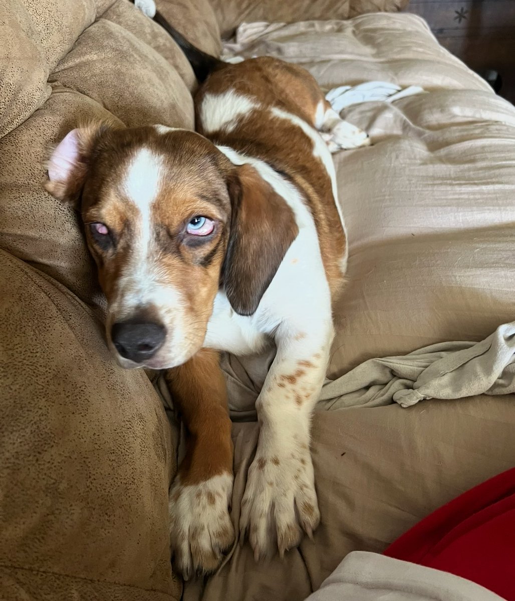 Cocaine_Crow™ tweet media