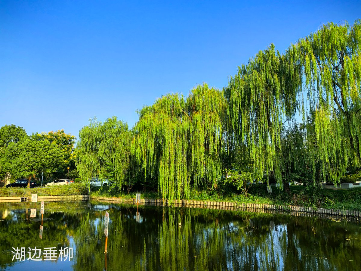 Ivy Rose tweet media