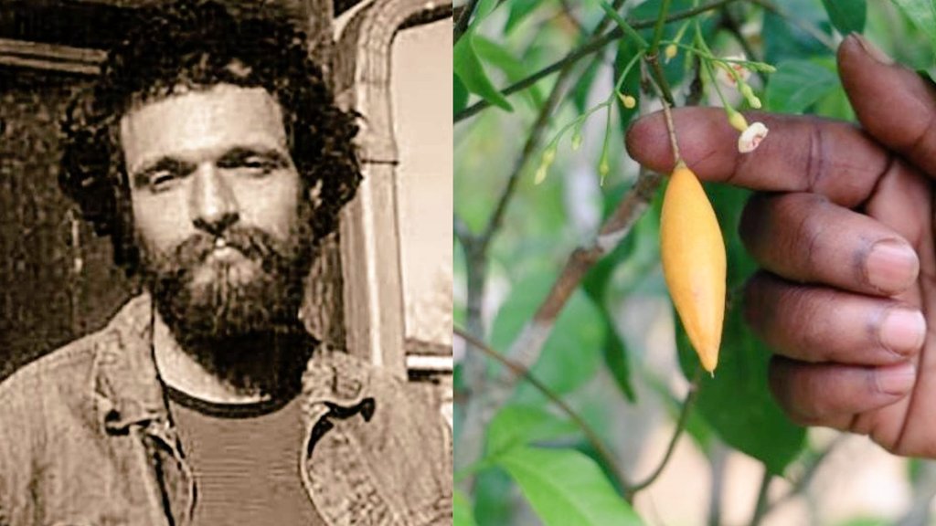 LORD NEWS BRASIL 🇧🇷 tweet media