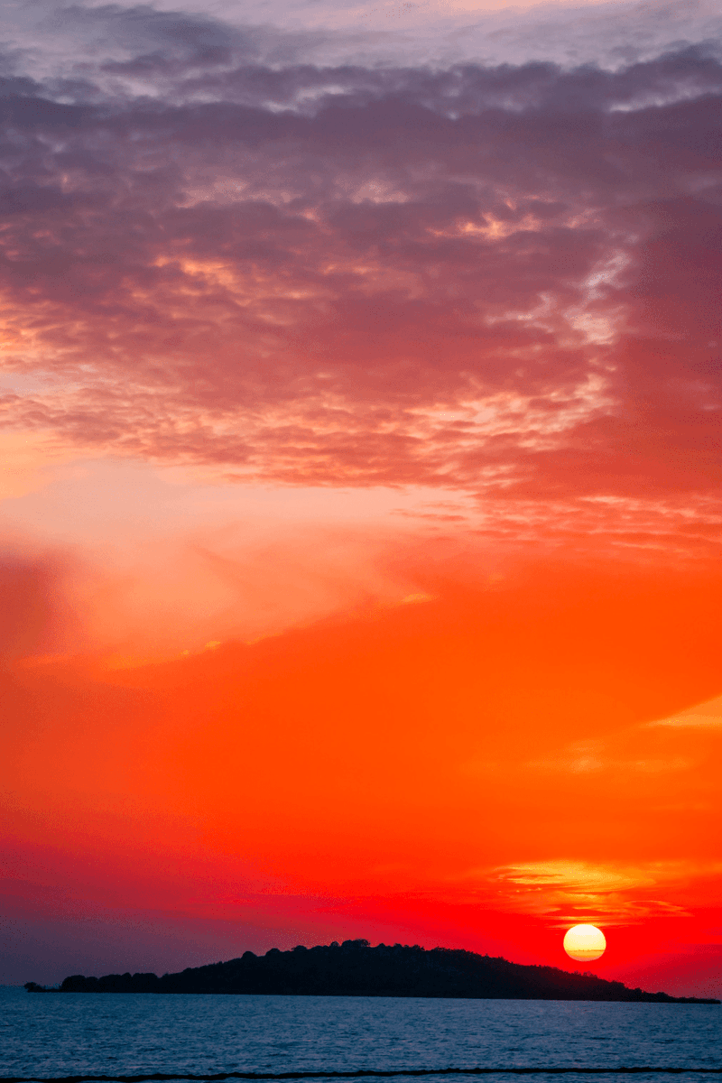 willi großöhmichen tweet media