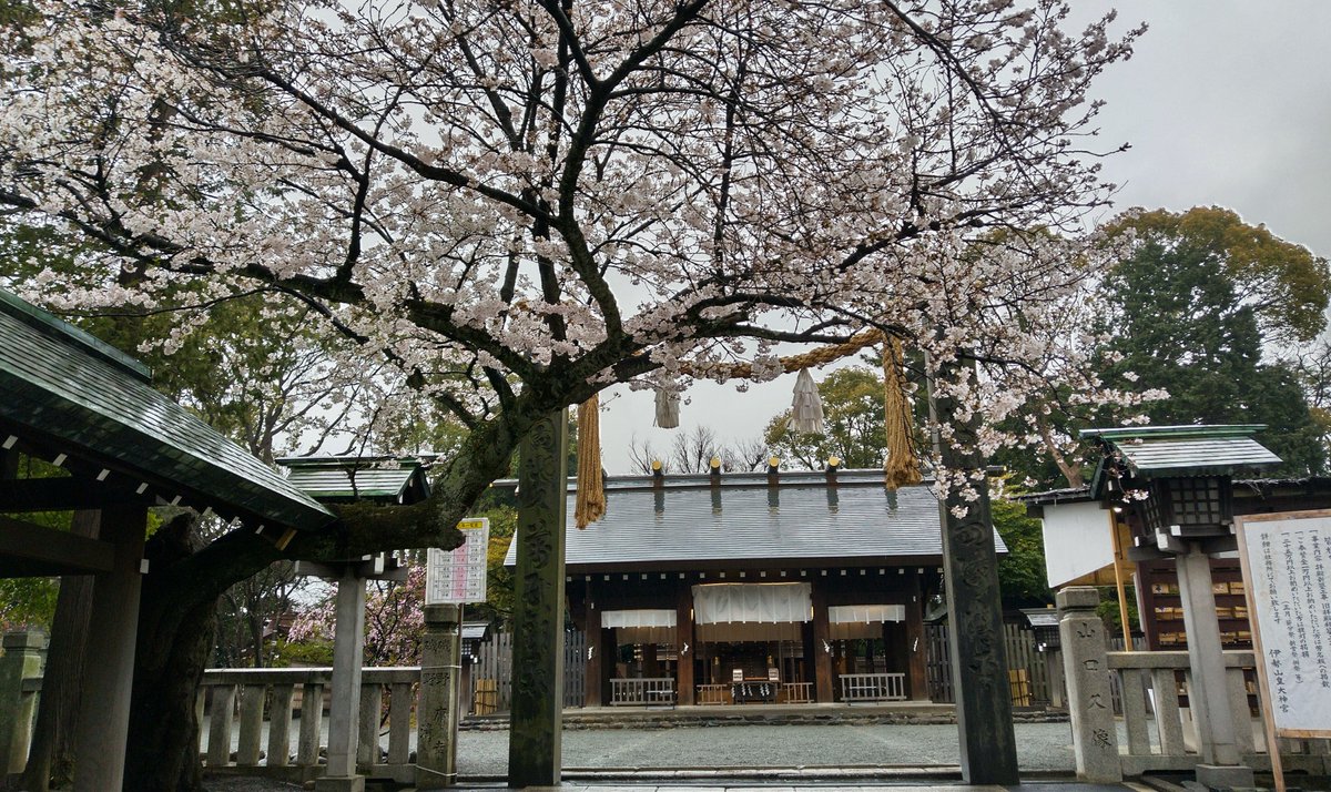 ちゃと tweet media