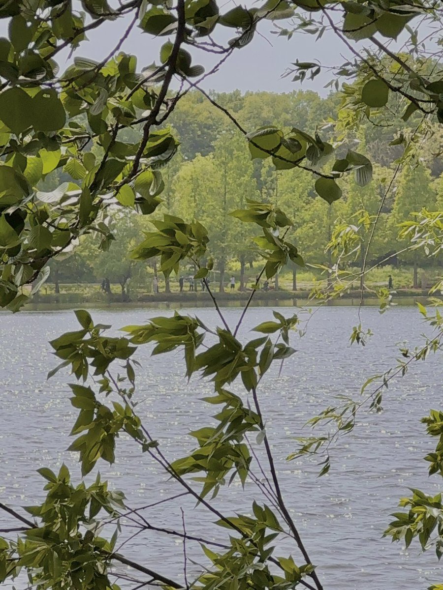 띠삐 ໒꒱‧₊ tweet media