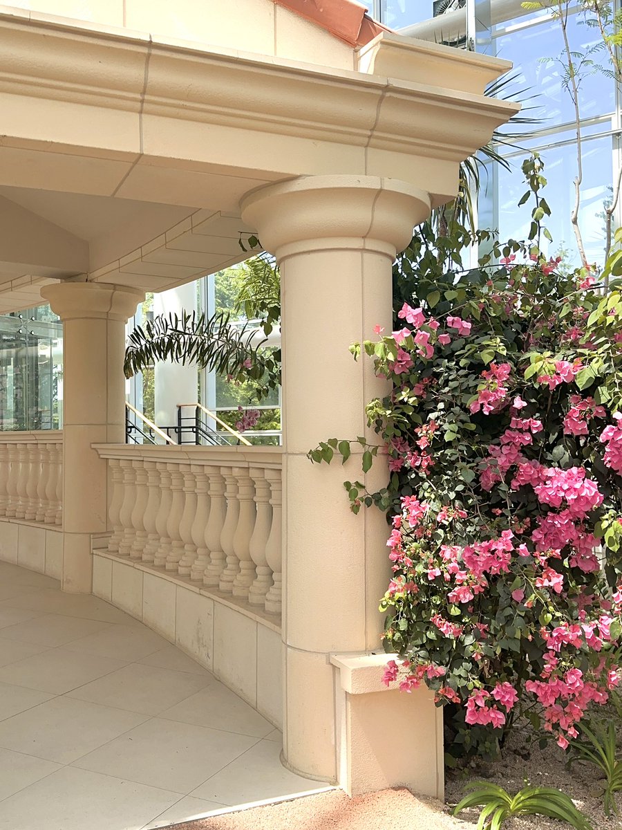 띠삐 ໒꒱‧₊ tweet media