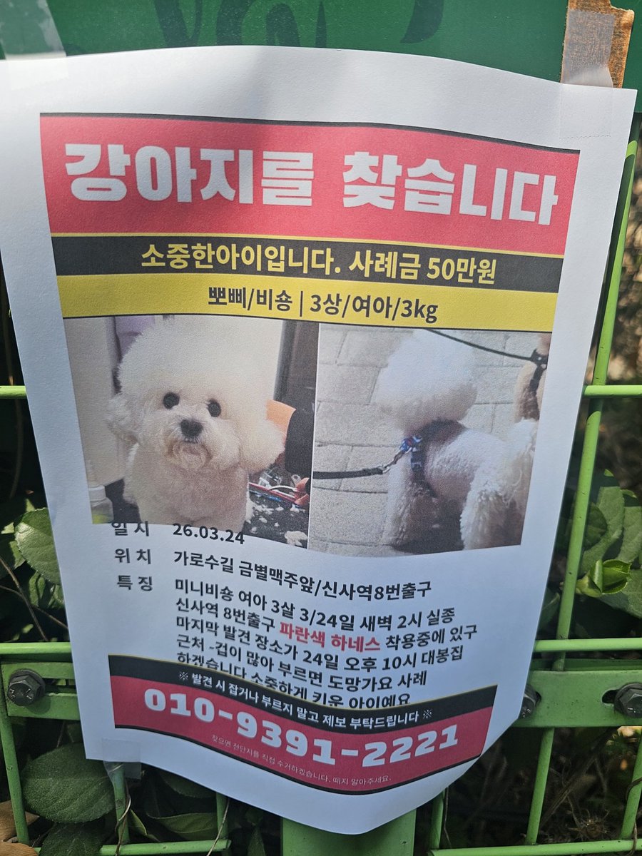 ღ새유ෆ tweet media