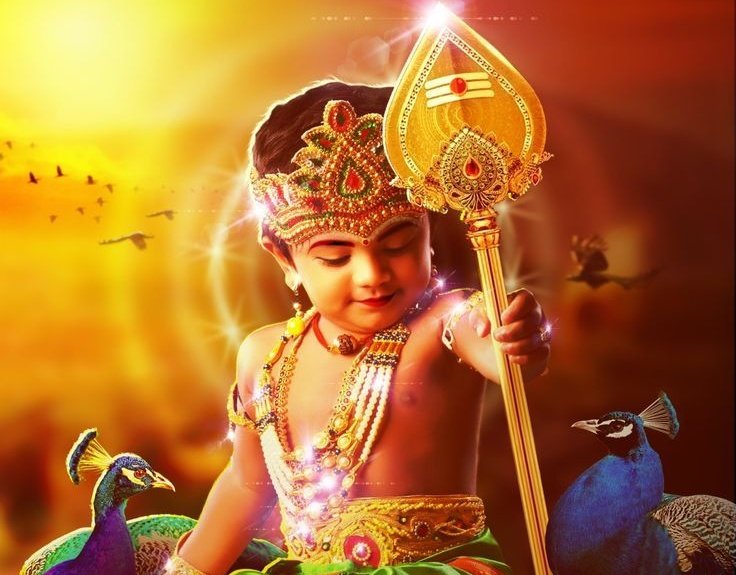 🌻Mr.Easytalkoos🌻 tweet media