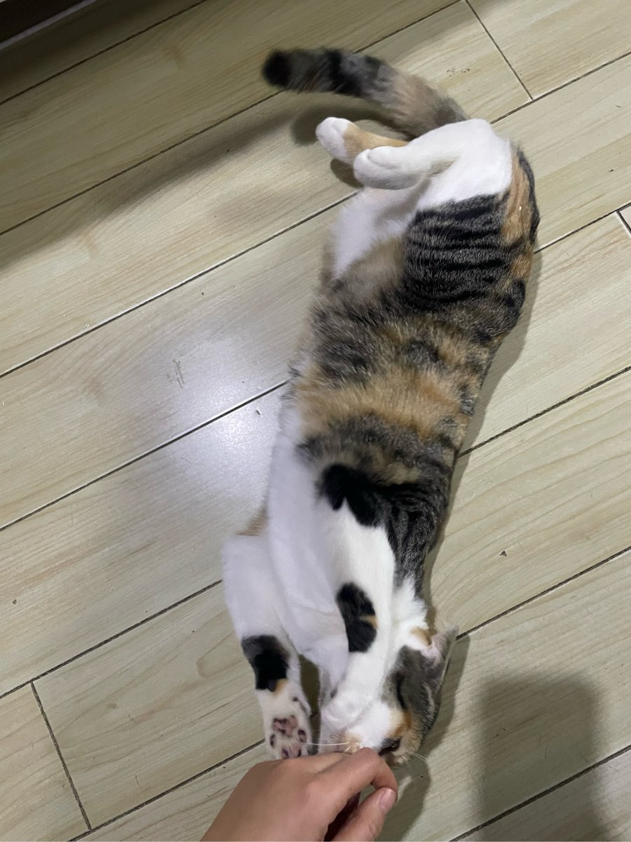 ROBERT ALAN WELKER tweet media