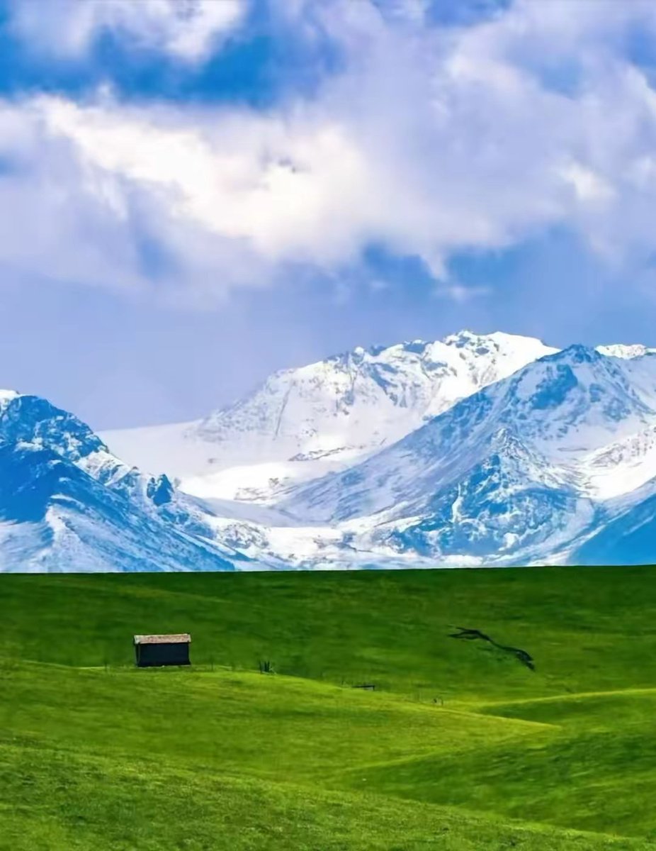 Abstract（互fo） tweet media