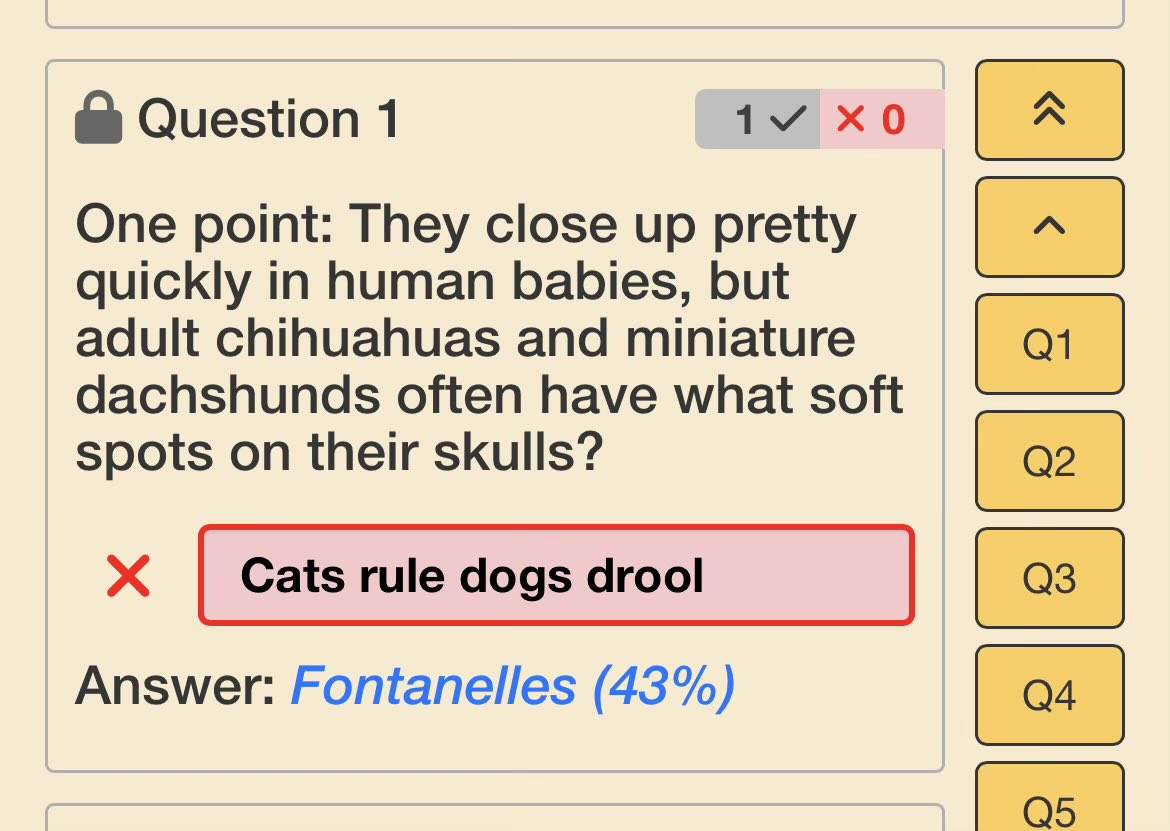 CurtisYamamotoIsMyConstant tweet media