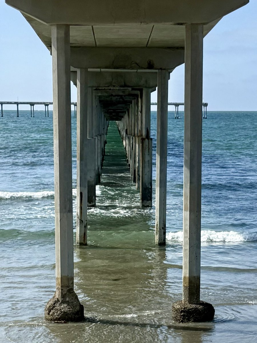 Tyler Williams 🦬 tweet media