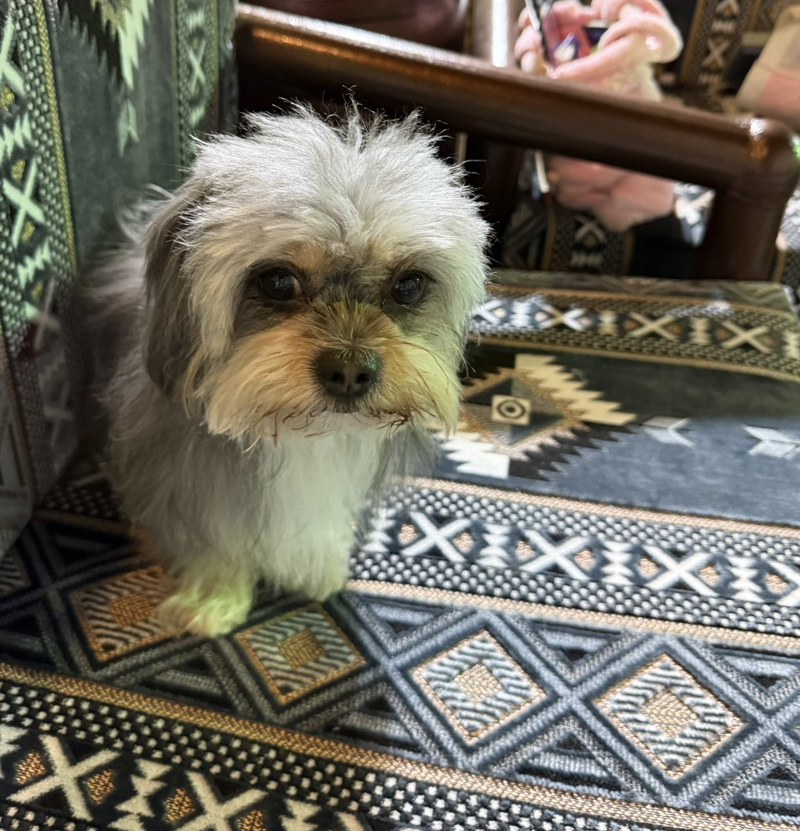 ᗯEᒪᒪY ♐️ 🇸🇦 tweet media