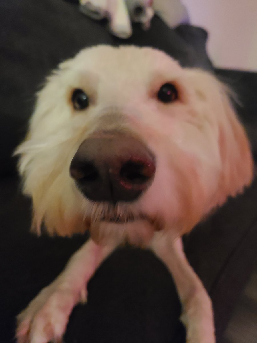 truck harlem 🤑🤑 (@truckharlem) on Twitter photo 