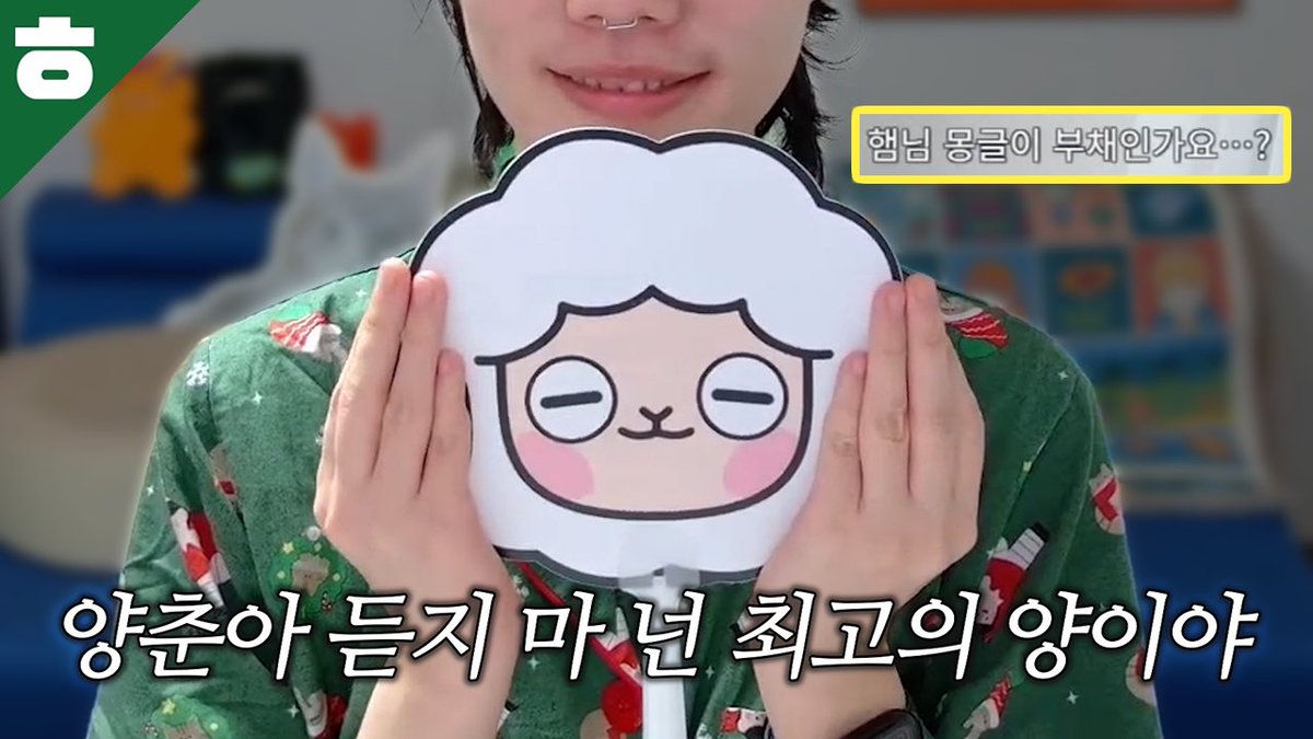 햄튜브 tweet media