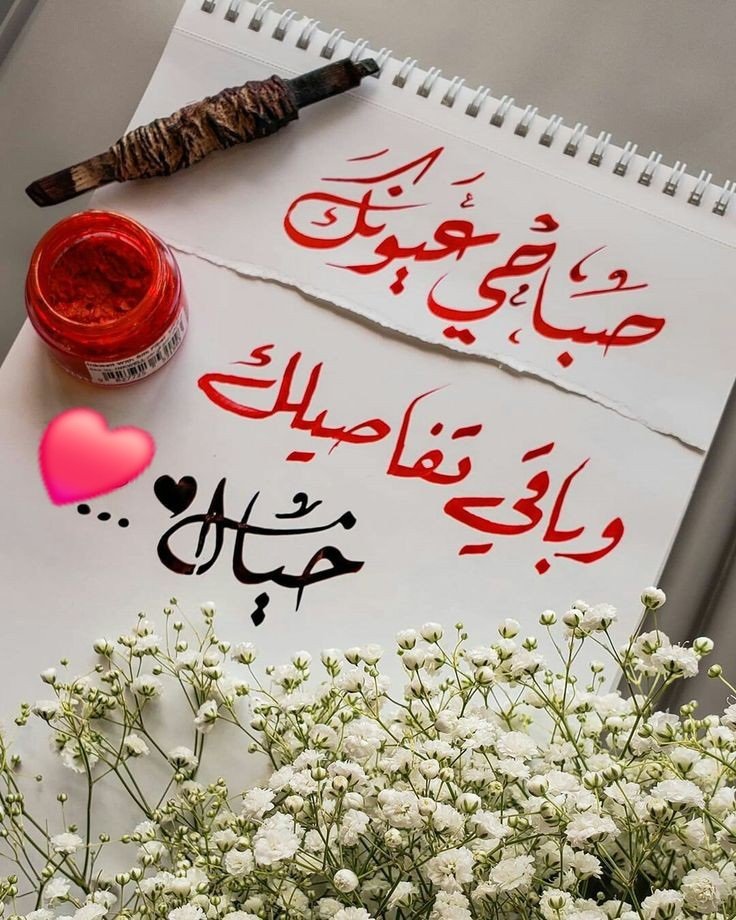 🇺🇸🇶🇦🇴🇲🇩🇿🇯🇴🇧🇭🇦🇪🇸🇦🇰🇼ندى🇱🇧❤ tweet media