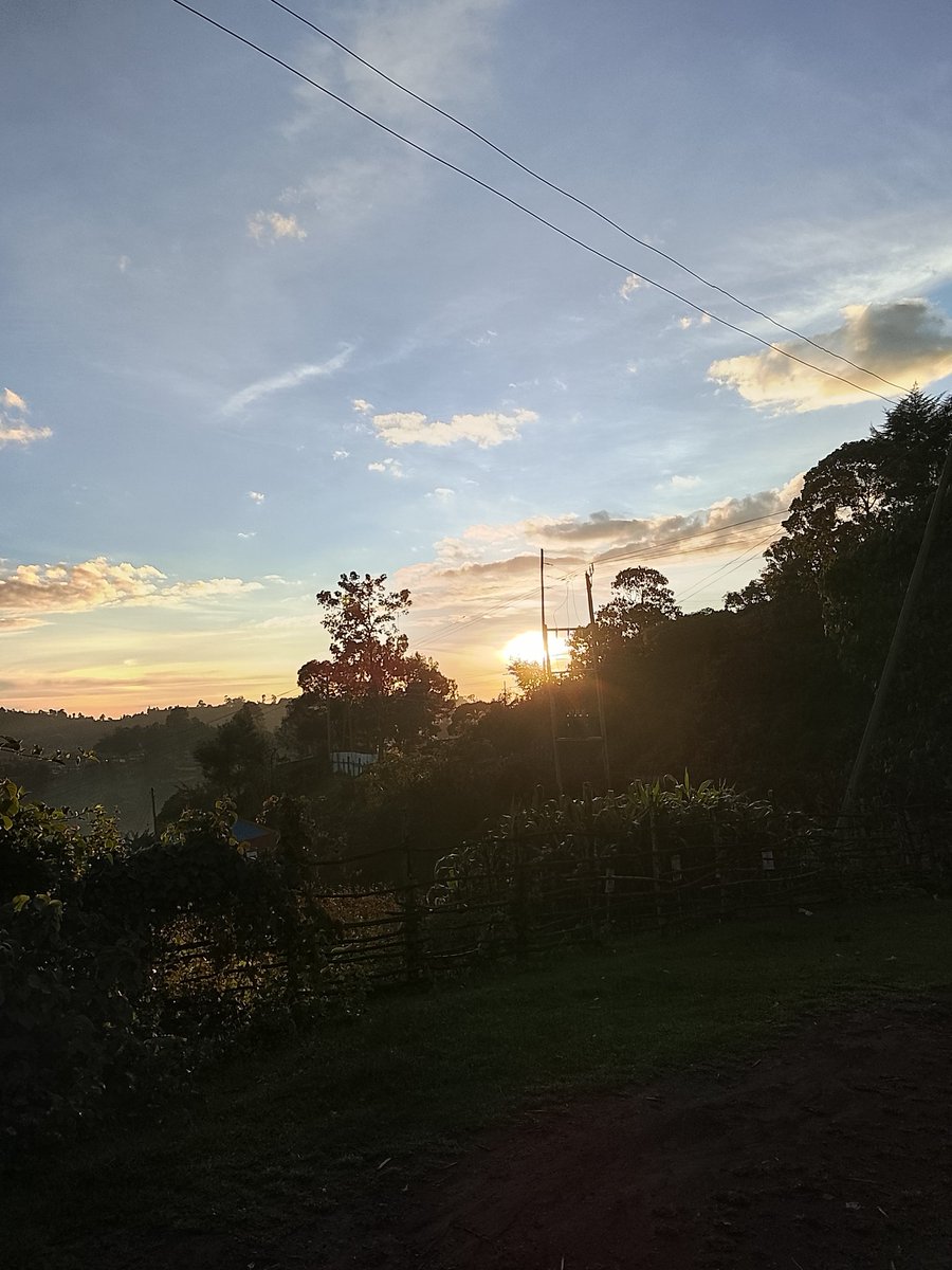 Yano🇰🇪 tweet media