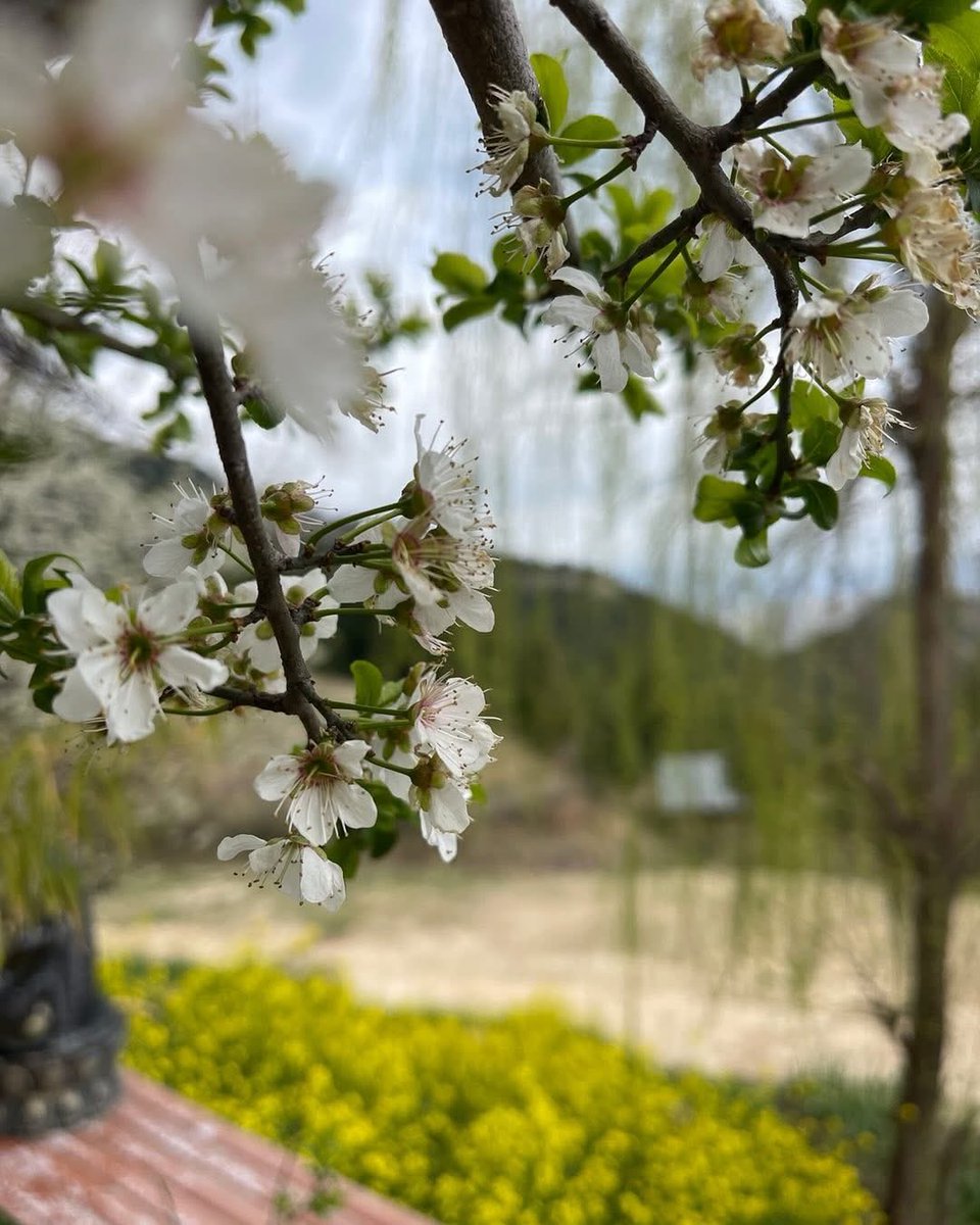 vinaY parashar tweet media