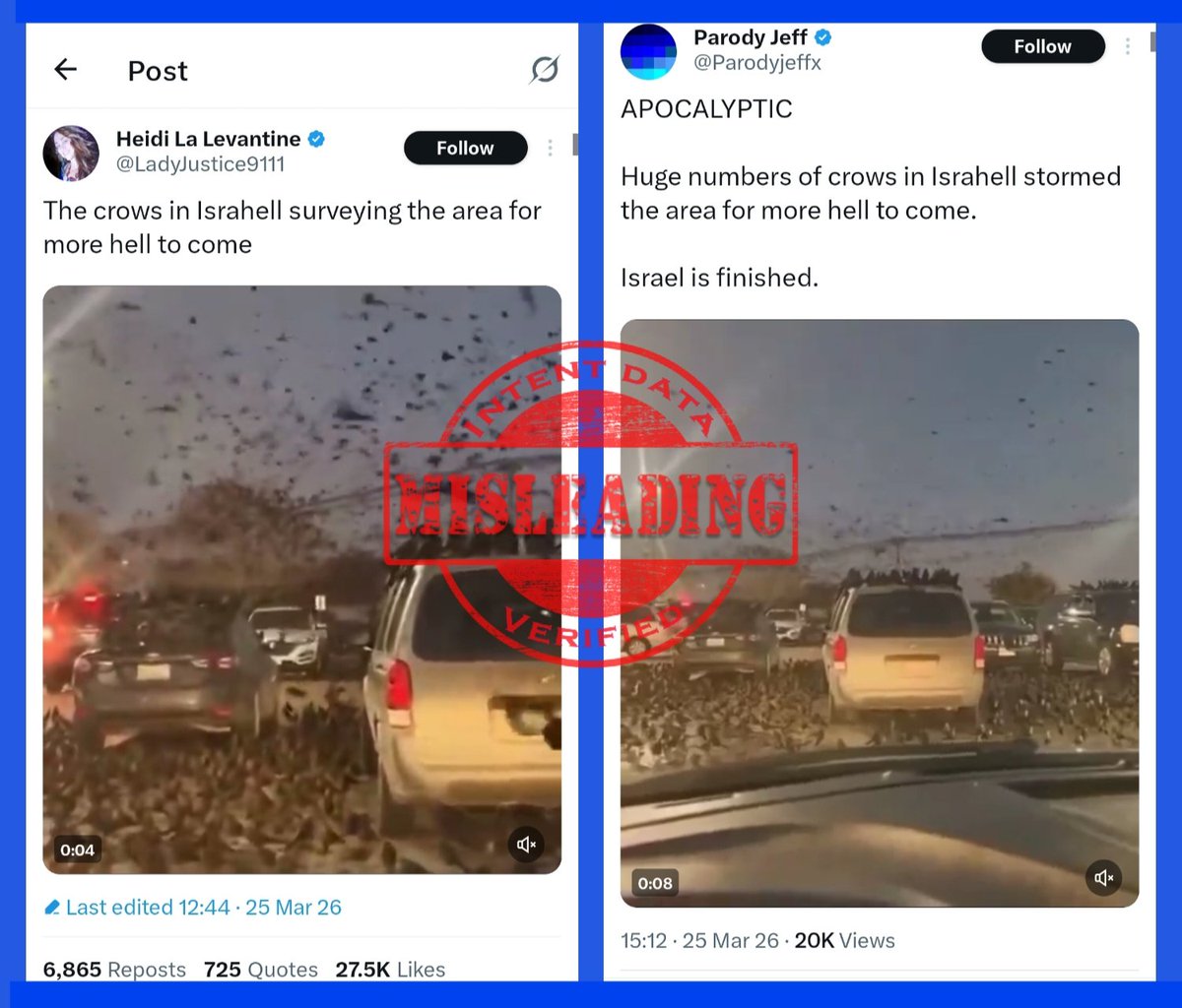 Ad Libitum 🎶 tweet media