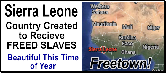 Jim Harris tweet media