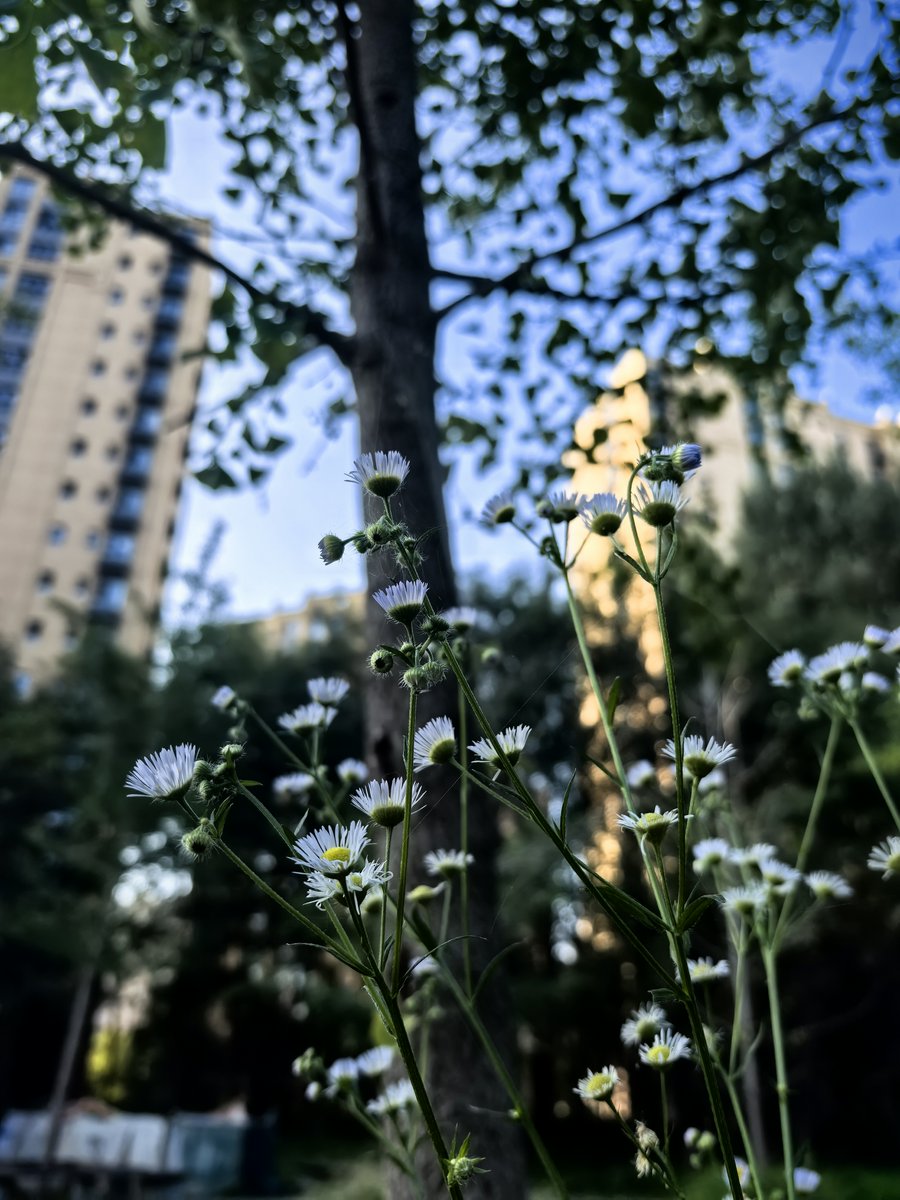 Eila Neergaard tweet media