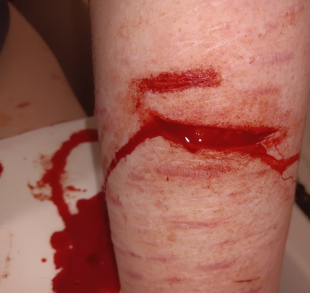 ୨ 🐇 ୧﹔ anika︐ semi active tweet media