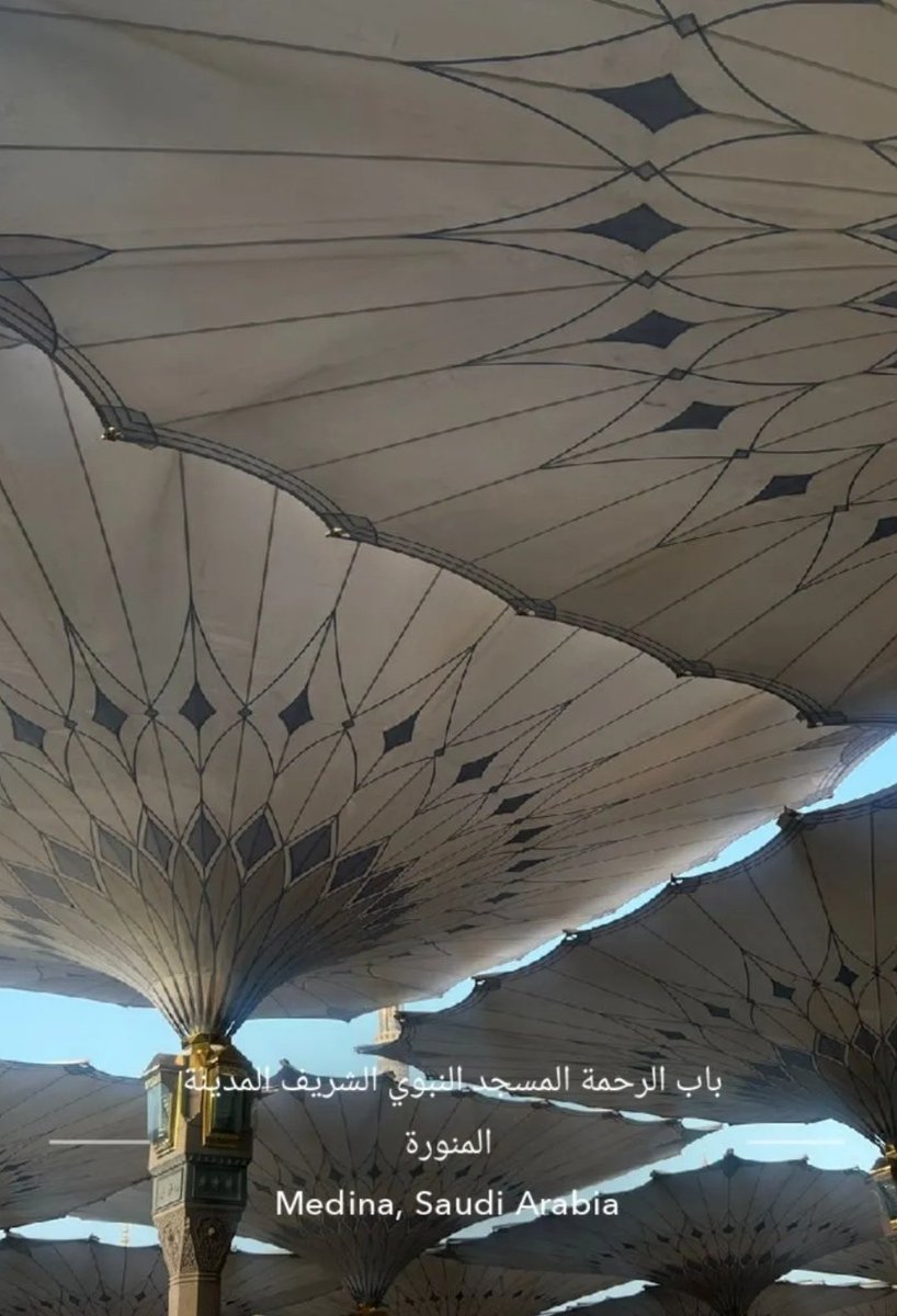 وحيد🇸🇦 tweet media