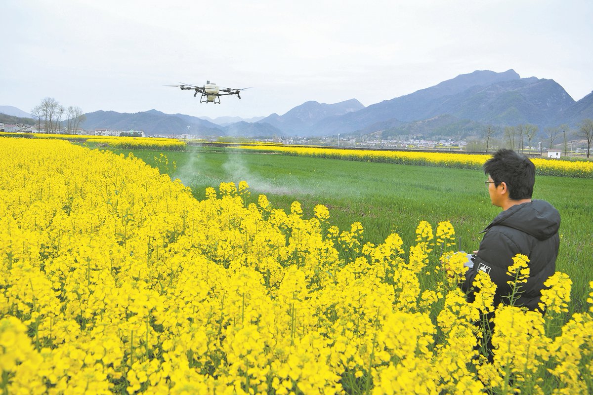 Amazing Xiangyang tweet media