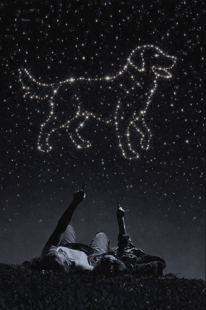 Camille🅰️ tweet media