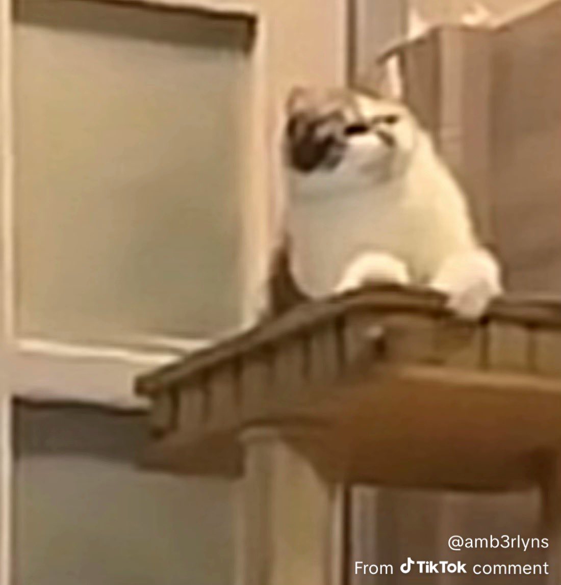 Anømaly tweet media