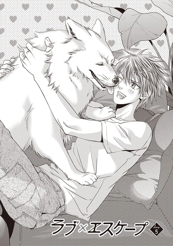 ビーボーイ編集部 tweet media