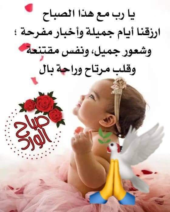 🇺🇸🇶🇦🇴🇲🇩🇿🇯🇴🇧🇭🇦🇪🇸🇦🇰🇼ندى🇱🇧❤ tweet media