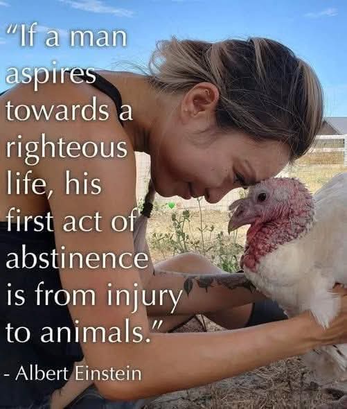 Moss Albarran_X tweet media