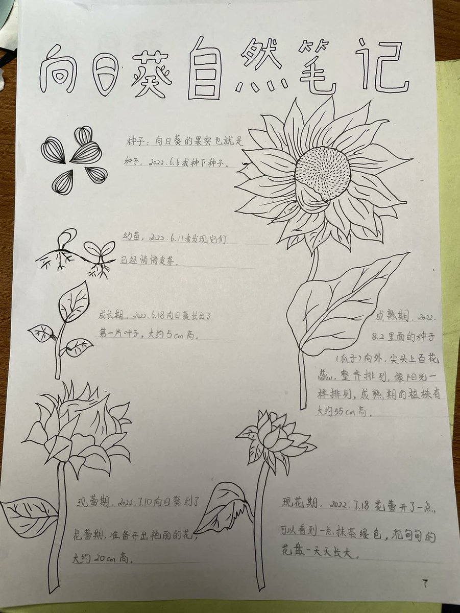 limousin tweet media